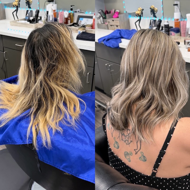 Salon MI