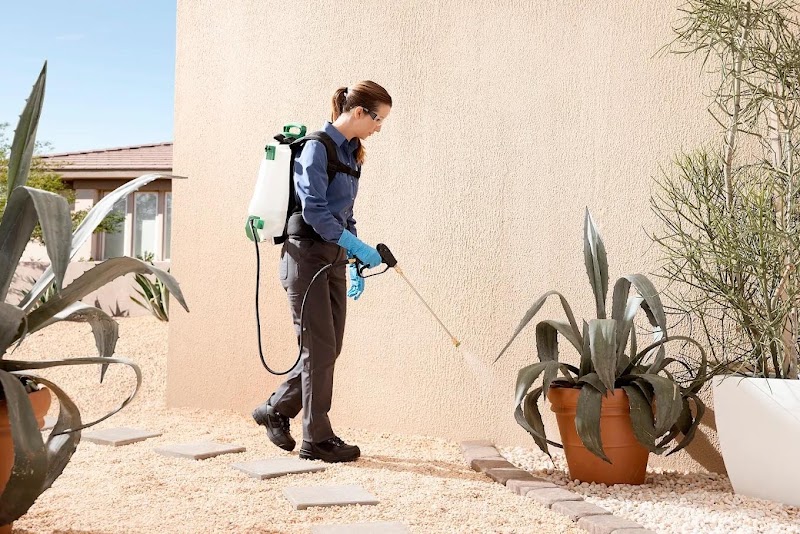 Las Vegas Pest Control
