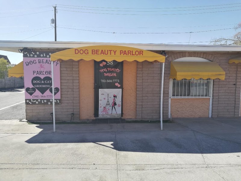 Dog Beauty Parlor
