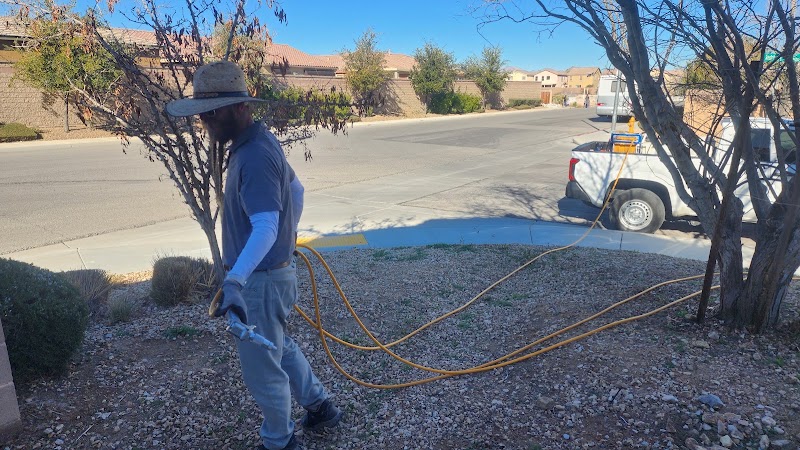 Dispatch Pest Control