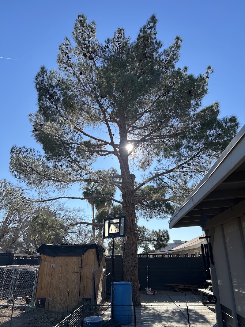Green Man Tree Service