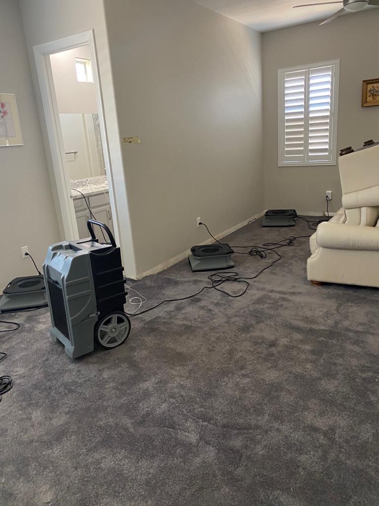 Water Damage Professionals