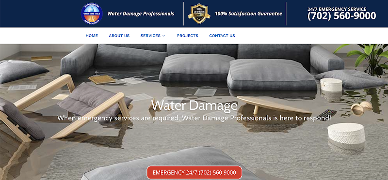 Water Damage Professionals