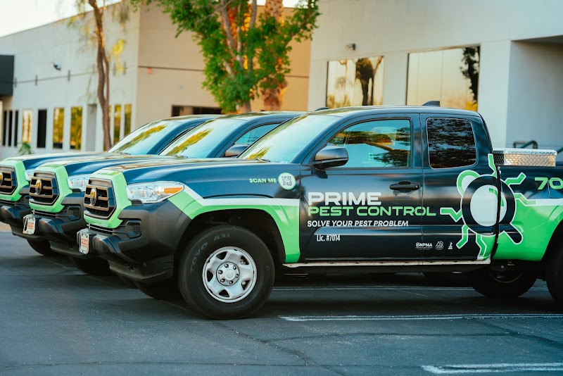 Prime Pest Control Las Vegas