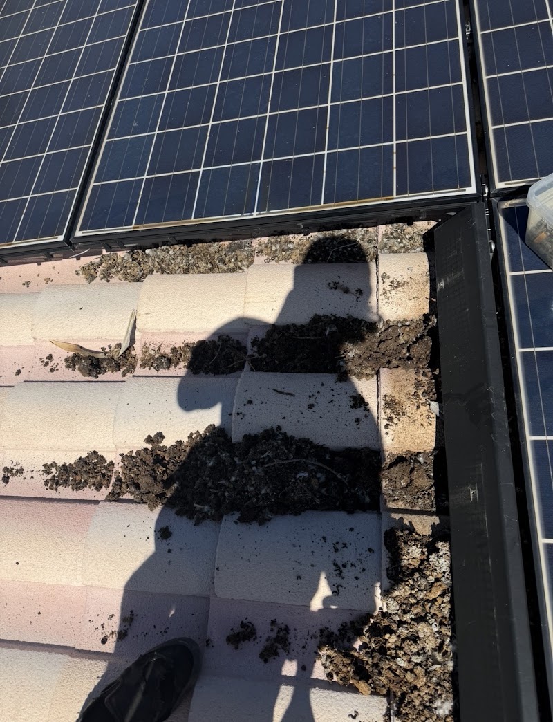Complete Pigeon Control / Complete Turf Control