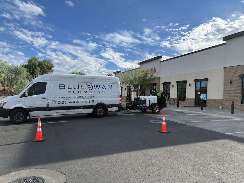 Blue Swan Service