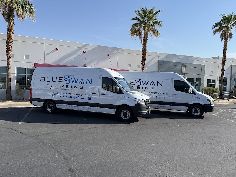 Blue Swan Service