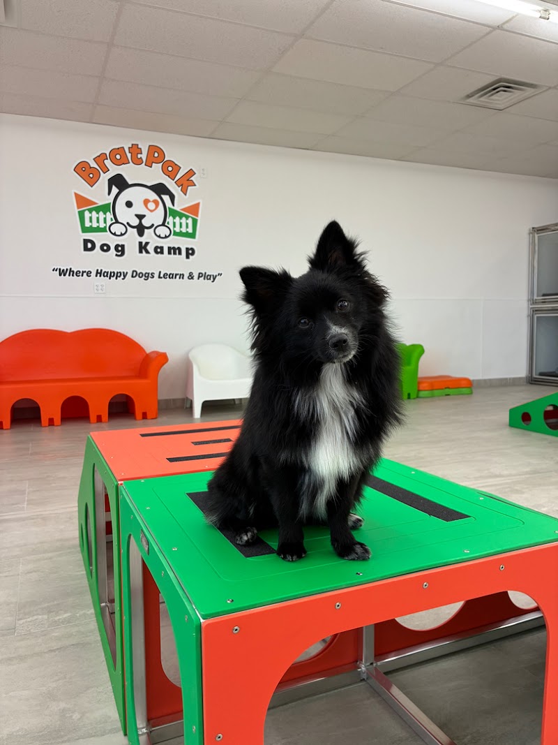 BratPak Dog Kamp - Henderson