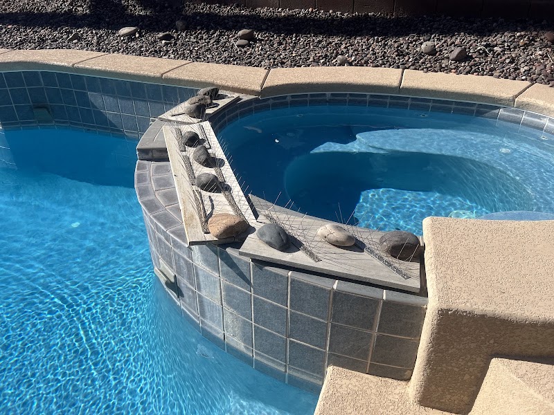 Diamond Lils Pool Service