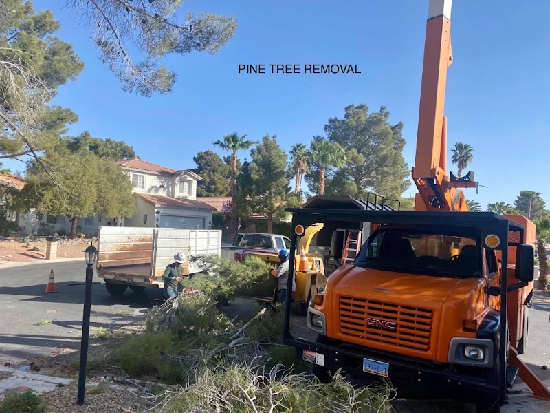 Woodys Tree Service LLC