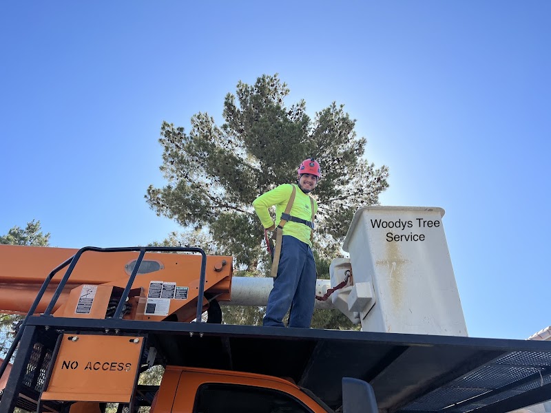 Woodys Tree Service LLC