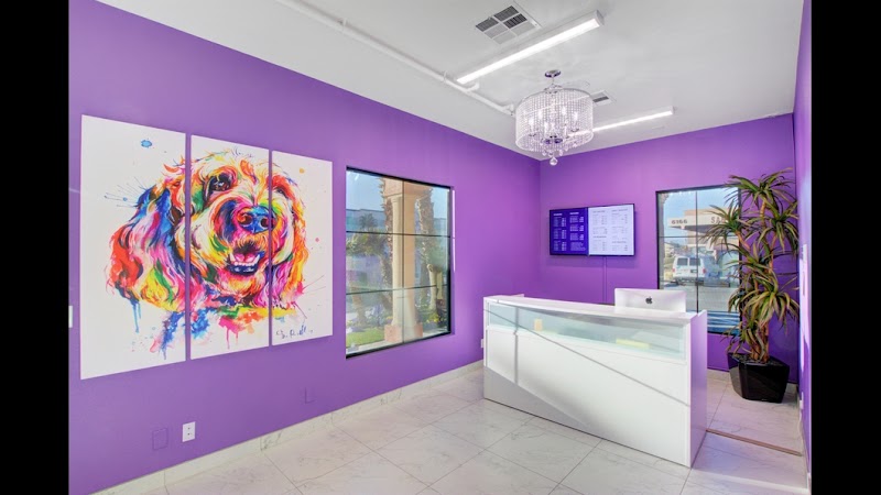 LV Dog Hotel II