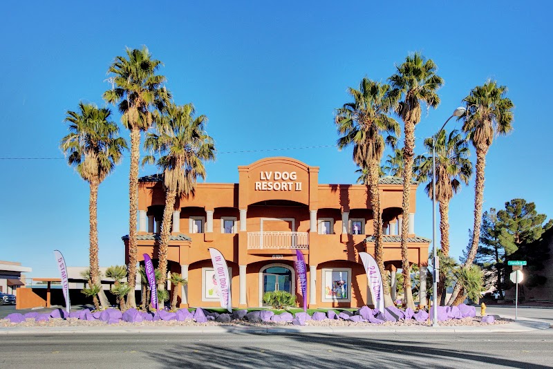 LV Dog Hotel II