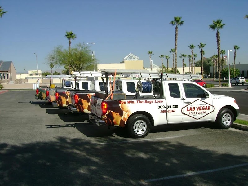 Las Vegas Pest Control