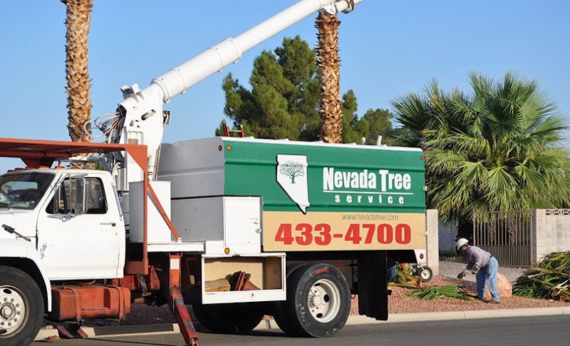Nevada Tree Service