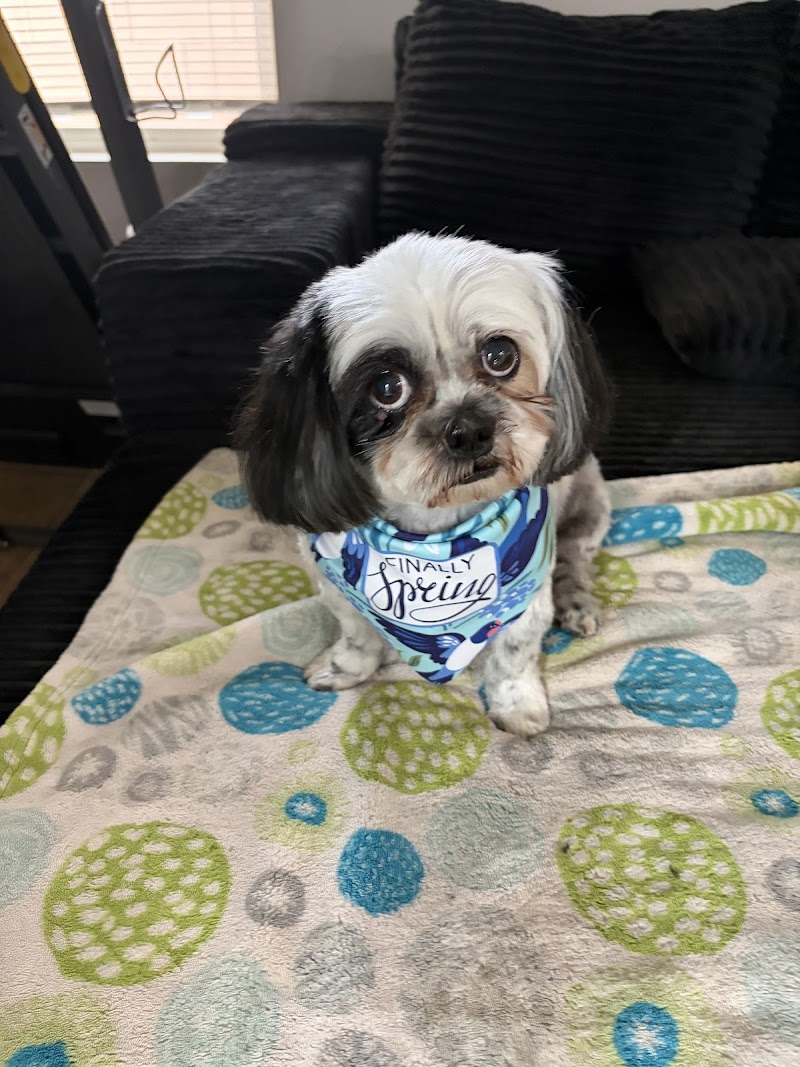 Pupsters Spaw LLC