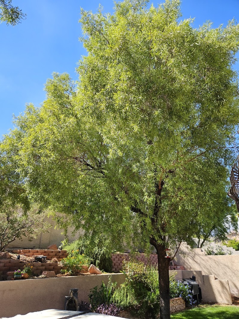 The Davey Tree Expert Company