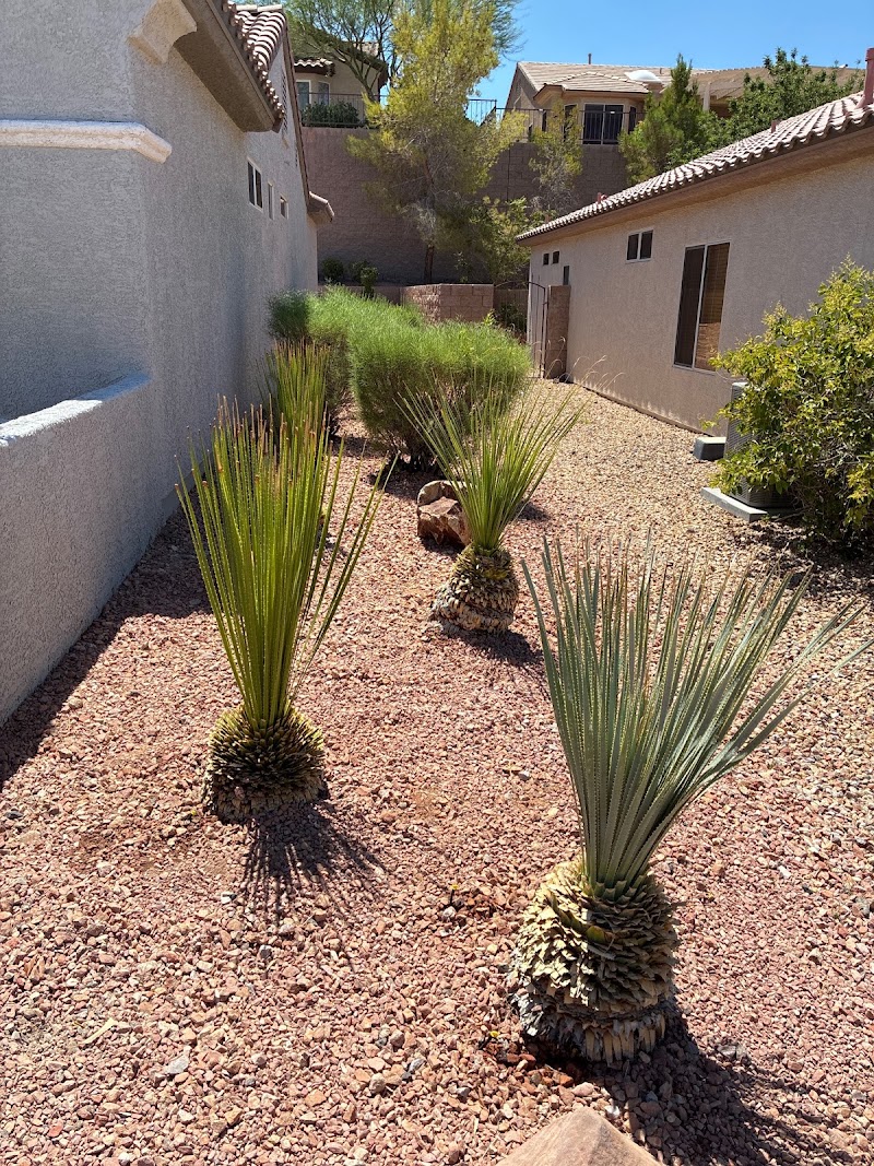 Green America Tree & Landscaping LLC