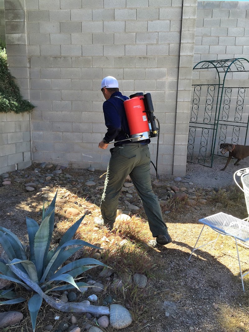 Henderson Pest Control