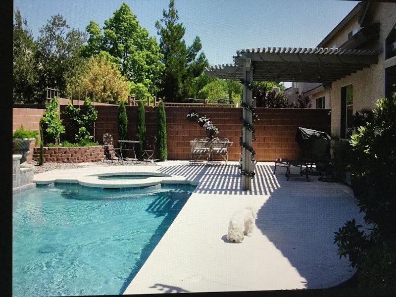 Alpha and Omega Pool Services