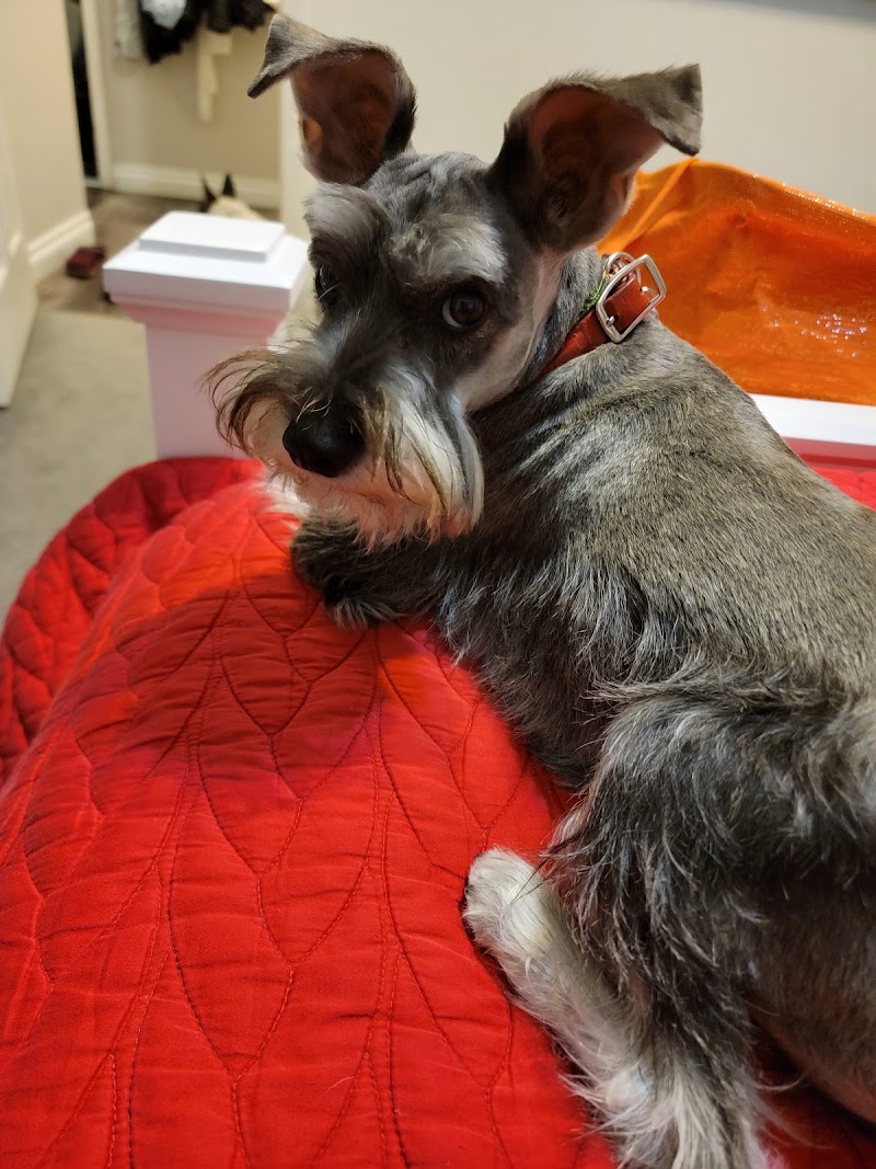Wright Touch Grooming.llc
