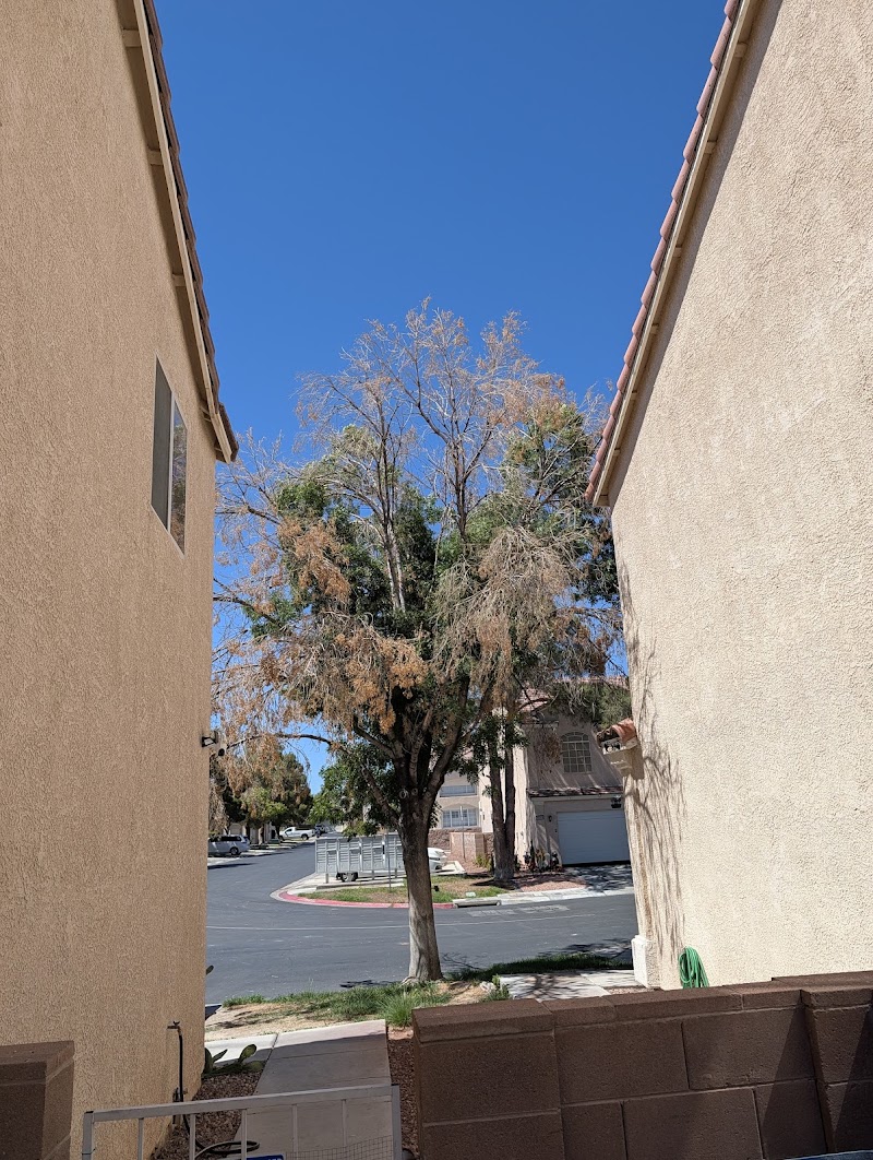 Casino Tree Service and landscaping LLC