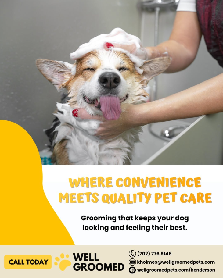 Well Groomed Pets - Henderson