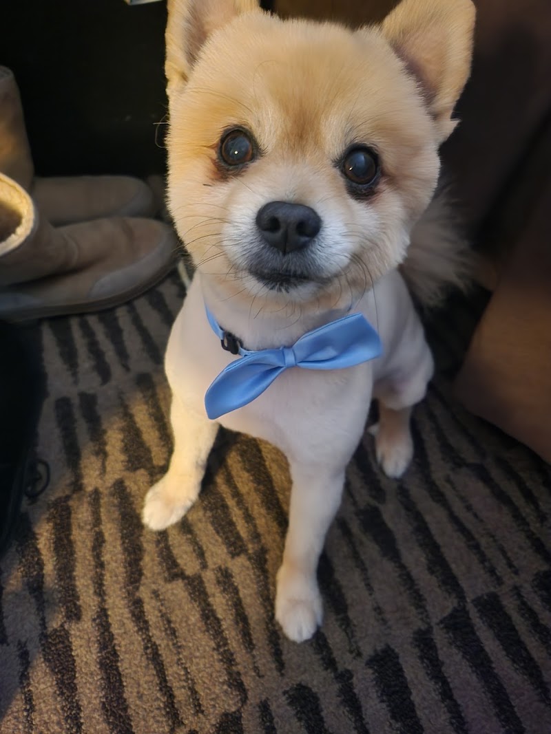 Happy Tails Pet Grooming