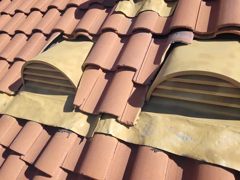 Professional Roofing Services