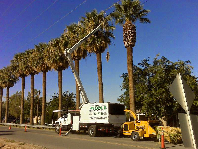 Noble Tree Service Inc.