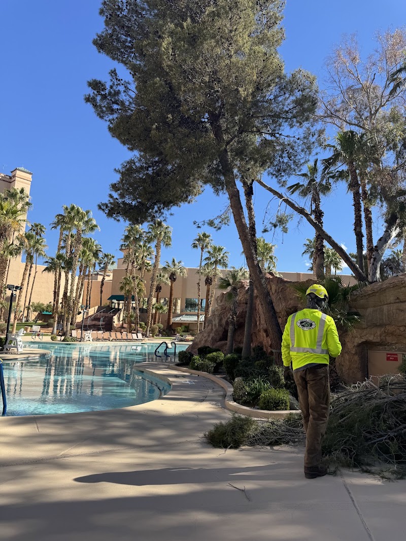 Noble Tree Service Inc.