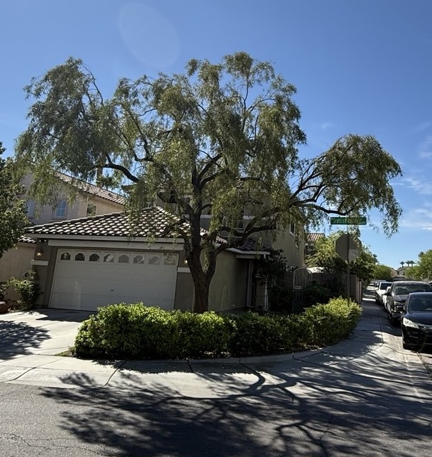 Vegas Best Tree Service – Tree Removal, Trimming & Stump Grinding