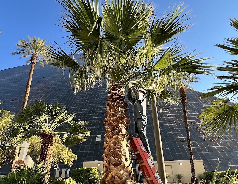 First Choice Tree Service