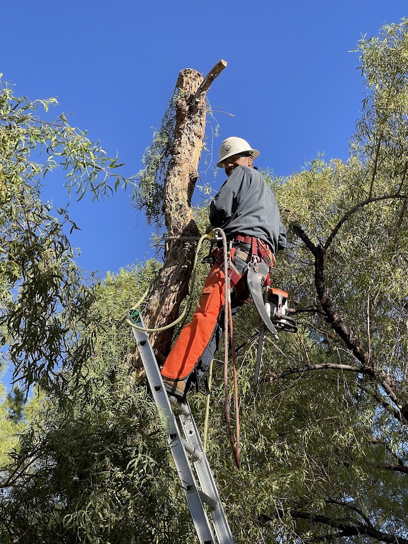 First Choice Tree Service